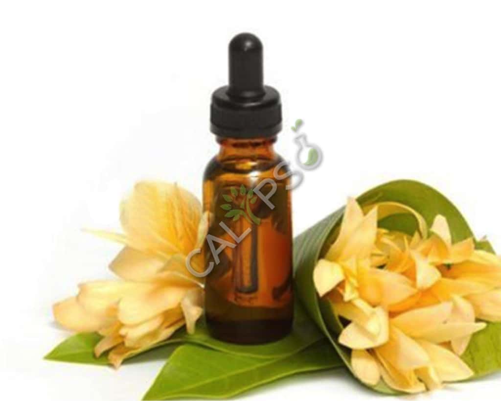 Olio essenziale di Champaca naturale
